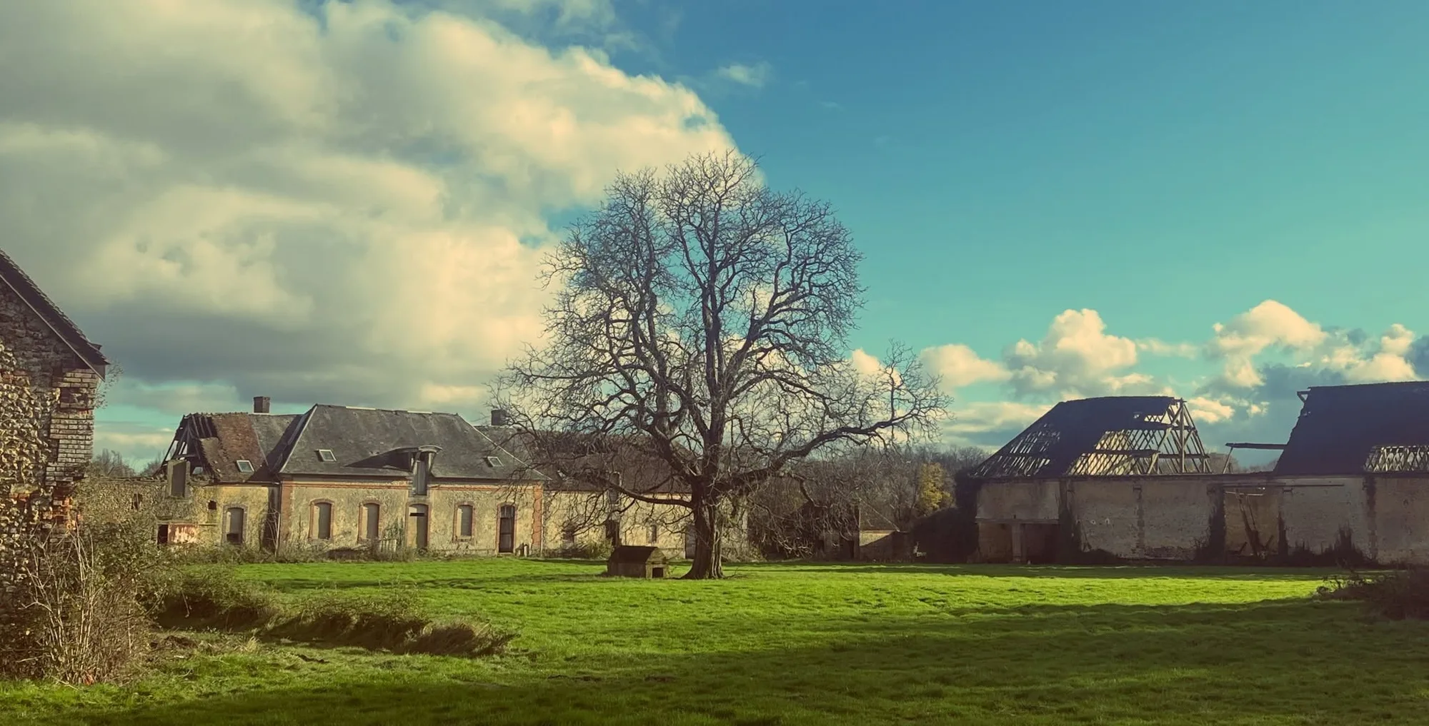 Grand Jardin